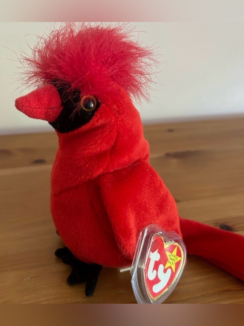 TY - MAC the CARDINAL BEANIE BABY - NWT - COLLECTIBLE